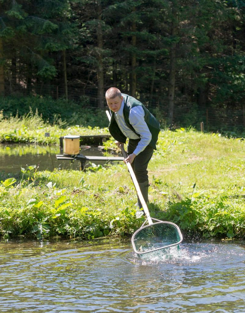 Fischzucht Jobi Forellen